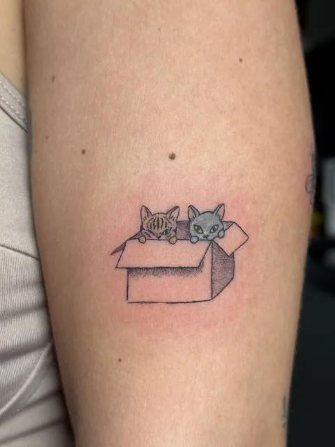 Tatuagem fine line de dois gatos numa caixa, Kaoma Ferraz, Alvalade, Lisboa